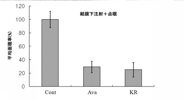 6099209-黄斑変性の予防または治療用の医薬組成物 図000013