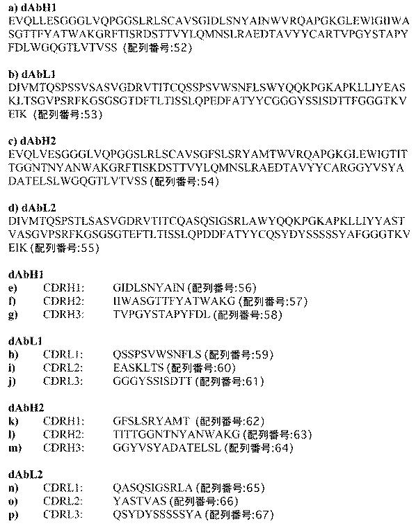 6106640-二重特異性抗体の融合体 図000013