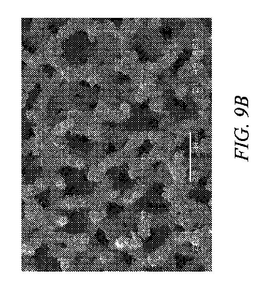 6208148-多孔質構造の製作方法 図000013