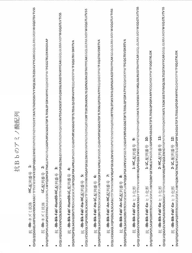 6244350-ヒト化およびキメラ抗因子Ｂｂ抗体、ならびにその使用 図000013