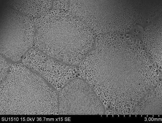 6253839-エステル系エラストマー発泡成形体、その用途及びエステル系エラストマー発泡粒子 図000013