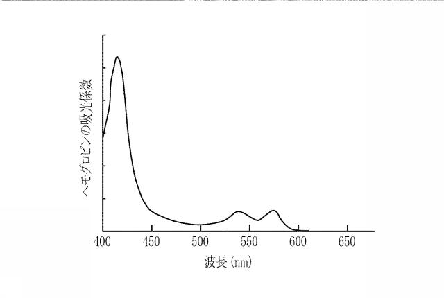 6254502-内視鏡用光源装置及び内視鏡システム 図000013