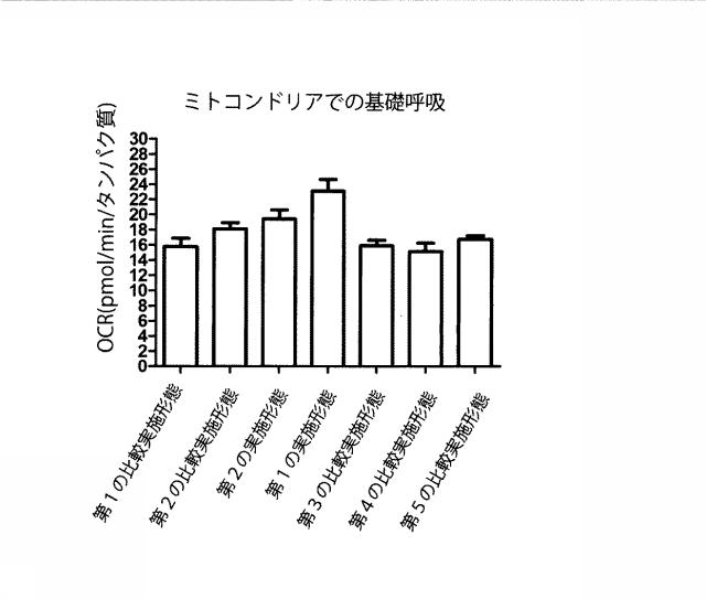 6329234-ミトコンドリアを改善する方法および幹細胞の細胞分裂を促進する方法 図000013