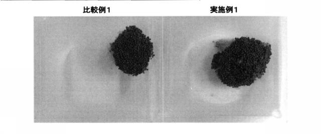 6377764-スルフォラファン含有量が増大されたブロッコリを生成する方法及びこの方法で生成したブロッコリの利用方法 図000013