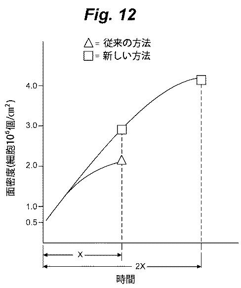 6386447-養子細胞療法のための改良された細胞培養法 図000013