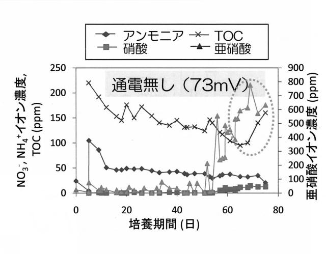 6396269-窒素代謝微生物の活性化方法 図000013