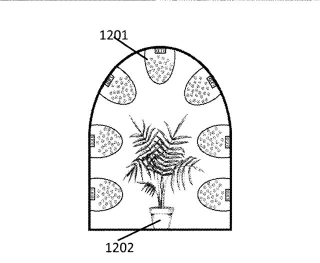 6430453-光合成生物の成長を促進するための量子ドットＬＥＤ 図000013