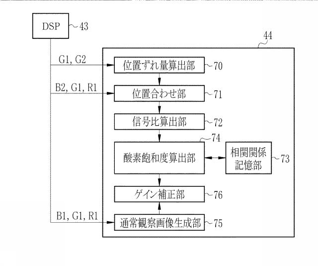 6444450-内視鏡システム、内視鏡システムのプロセッサ装置、及び内視鏡システムの作動方法 図000013