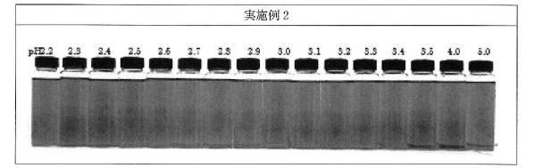 6521600-耐酸性を有するクチナシ色素製剤 図000013