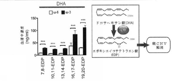 6526570-炎症及び血管形成を減少させるＣＹＰ４５０脂質メタボライト 図000013