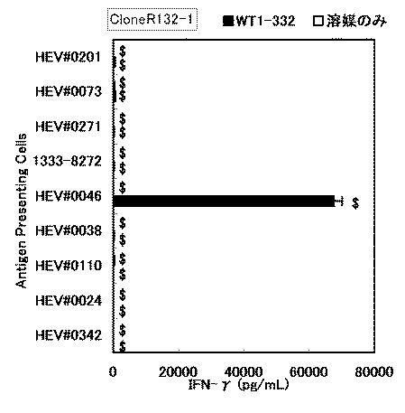 6530192-ヘルパーＴ細胞の活性化方法 図000013