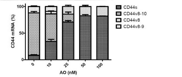 6536911-ＣＤ４４遺伝子のバリアントエクソンのスキッピングを誘導し、正常型ＣＤ４４ｍＲＮＡの発現を増加させる核酸医薬 図000013