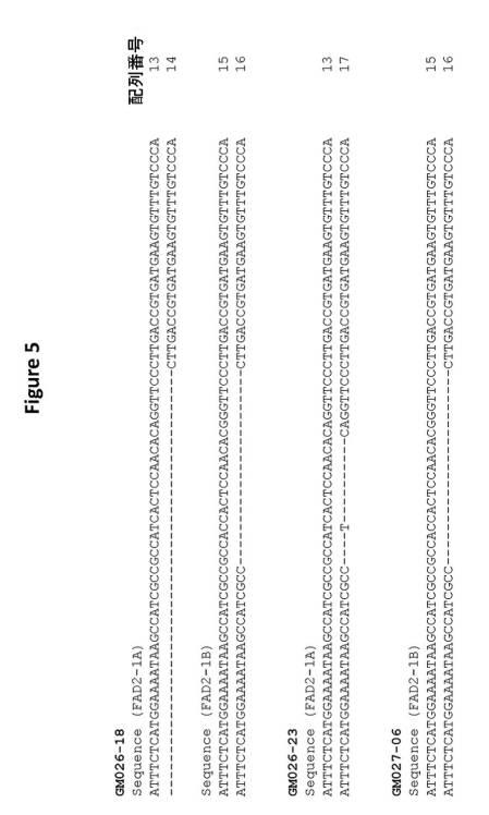 6591898-ＦＡＤ２−１Ａ／１Ｂ遺伝子の標的化ノックアウトを介した、大豆油組成物の改変 図000013