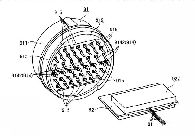 6595232-内視鏡用撮像装置、内視鏡装置、及び内視鏡用ケーブル 図000013