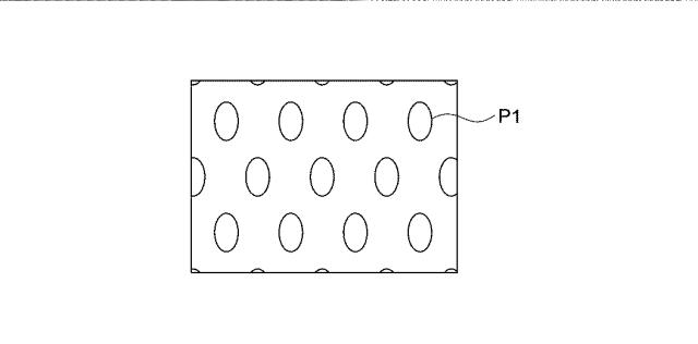 6609917-蛍光光源用発光素子の製造方法 図000013