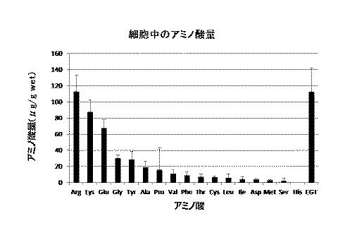 6616328-エルゴチオネインの産生方法 図000013