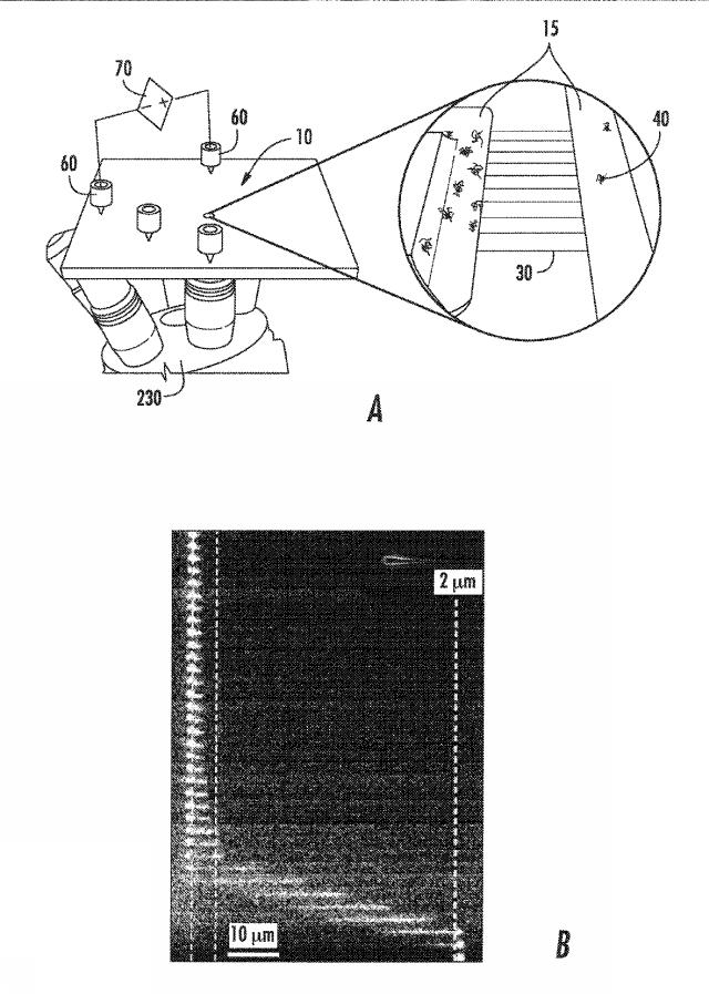 6633682-流体ナノファンネルを有する装置、関連する方法、製造及び解析システム 図000013