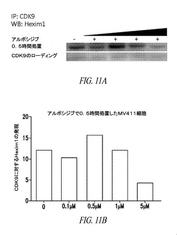 6689841-スーパーエンハンサー領域において転写制御を標的とする方法 図000013