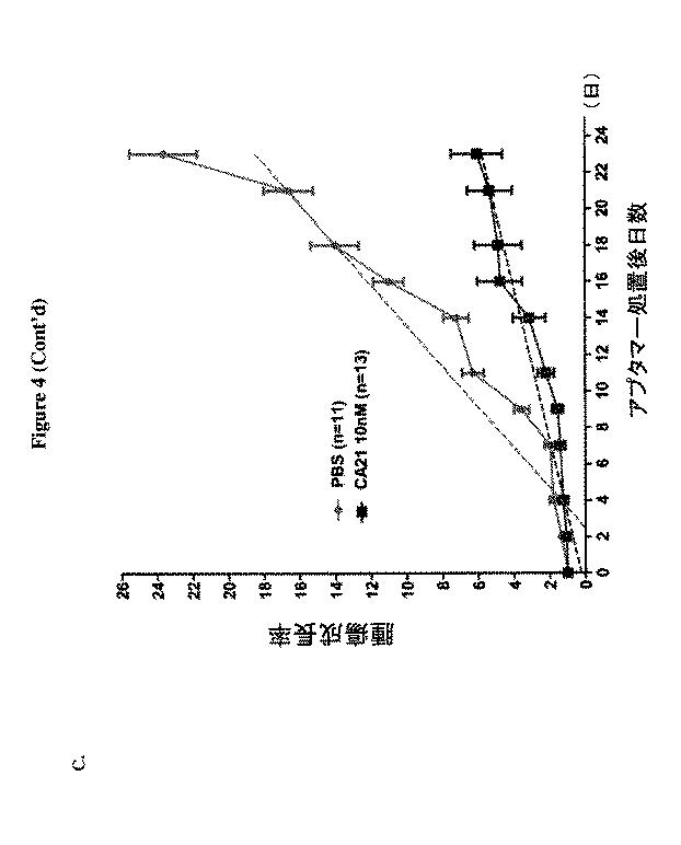 6702938-アンタゴニストＩＣ  ＣＴＬＡ−４アプタマー及びその免疫活性増強への応用 図000013