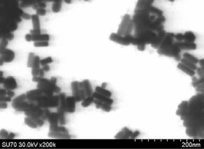 6716632-パラジウム被覆異方性金ナノ粒子を含む被験物質を検出するための組成物及びその用途 図000013