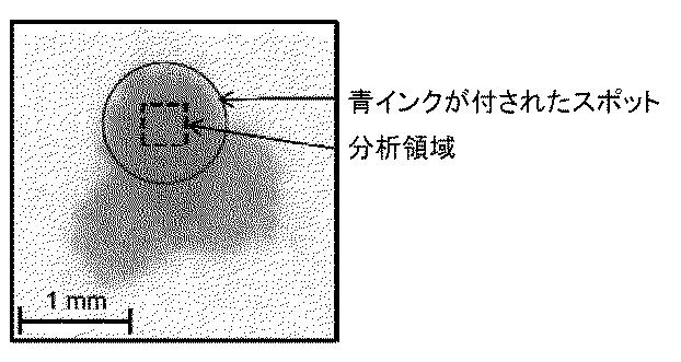 6716687-二次イオン質量分析計及び二次イオン質量分析方法 図000013