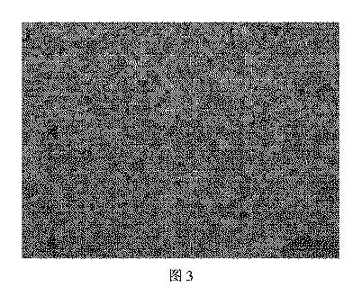 6783871-向上された弾性率を有する軽量鋼、鋼板およびその製造方法 図000013