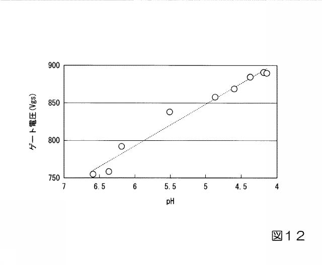 6825228-イオンセンサ、イオン濃度の測定方法、および発酵物の製造方法 図000013