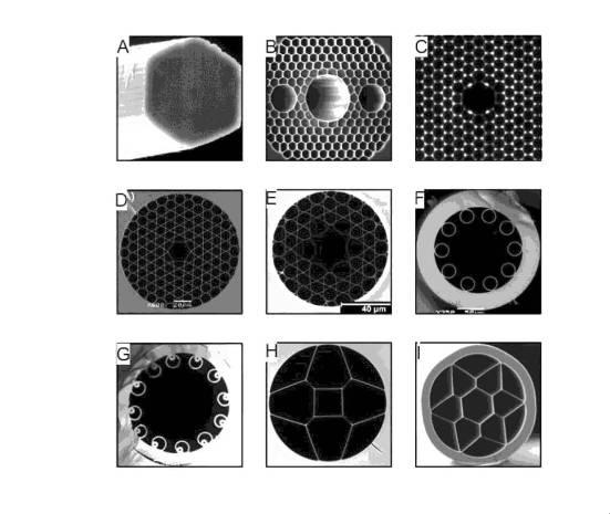 6831370-中空コア・ファイバおよびその製造方法 図000013