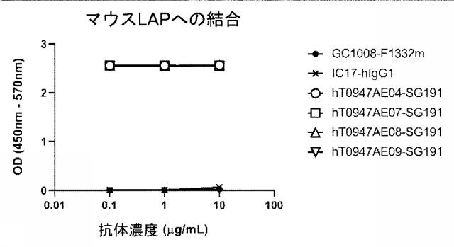 6846564-種交差性抗潜在型ＴＧＦ−β１抗体および使用方法 図000013