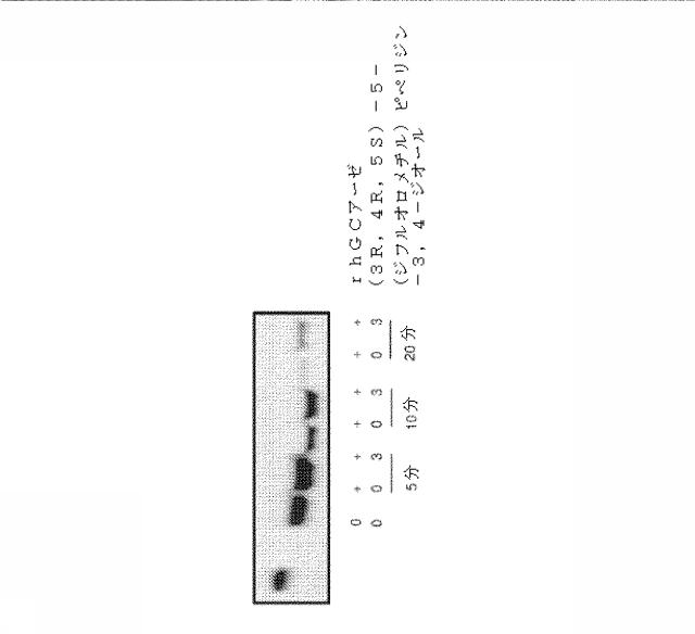 6857648-リソソーム障害及び中枢神経系の変性障害の治療及び予防のための（３Ｒ，４Ｒ，５Ｓ）−５−（ジフルオロメチル）ピペリジン−３，４−ジオールを含むレジメン 図000013