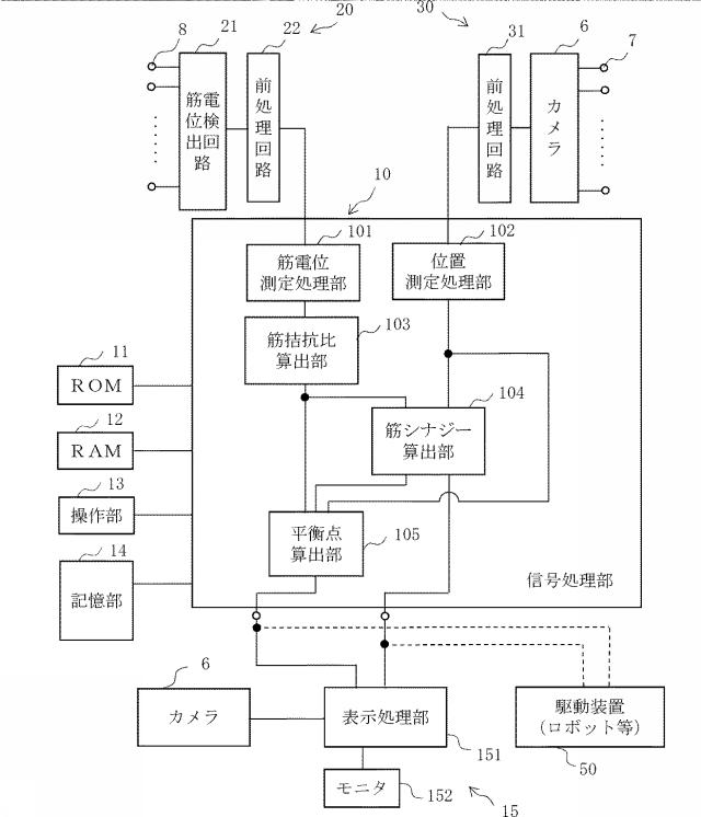 6883741-運動解析装置 図000013