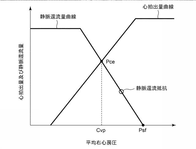 6966772-循環系指標算出プログラム、循環系指標算出装置、循環系指標算出システム及び循環系指標算出方法 図000013