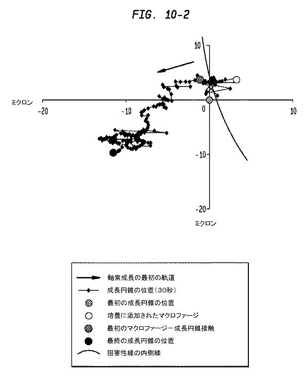 5933623-ニューロンの軸索退縮を予防するための幹細胞の使用 図000014