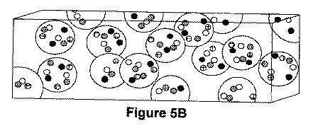 5976550-蛍光ｉｎｓｉｔｕハイブリダイゼーションによる癌抑制遺伝子の欠失を検出するための方法、プローブセットおよびキット 図000014