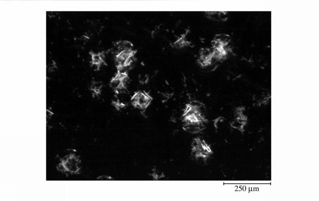 5986332-微多孔プラスチックフィルム 図000014