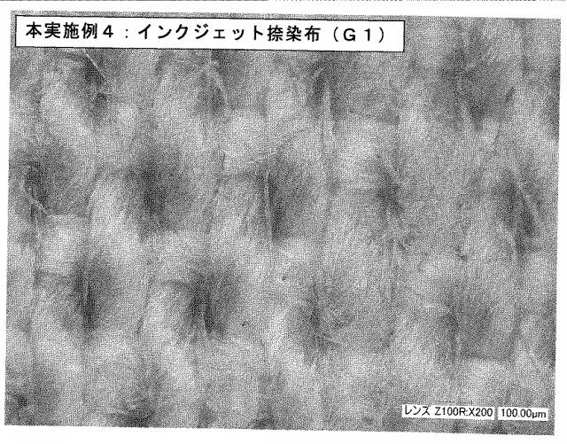 6025633-インクジェット捺染用インクセット及びインクジェット捺染方法 図000014