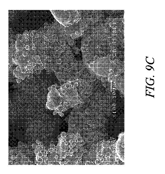 6208148-多孔質構造の製作方法 図000014