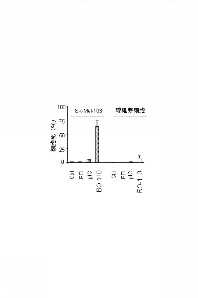 6222749-医薬組成物及びその使用 図000014