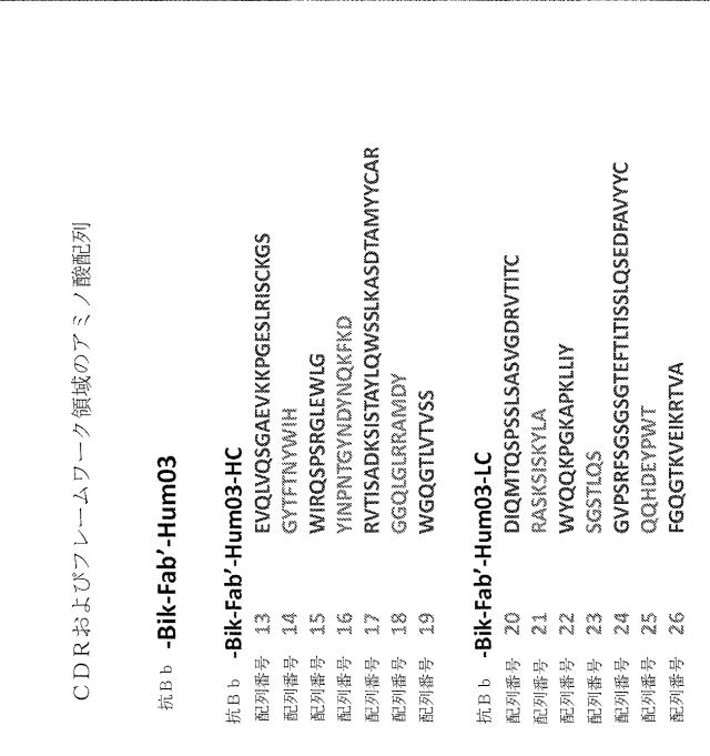 6244350-ヒト化およびキメラ抗因子Ｂｂ抗体、ならびにその使用 図000014