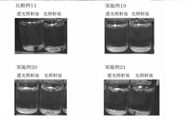 6245850-外用組成物 図000014