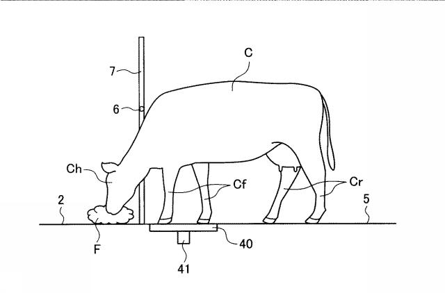 6253125-家畜用飼料給与設備および家畜用飼料給与方法 図000014