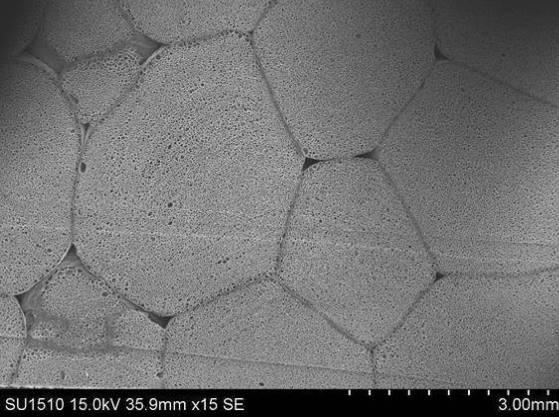 6253839-エステル系エラストマー発泡成形体、その用途及びエステル系エラストマー発泡粒子 図000014