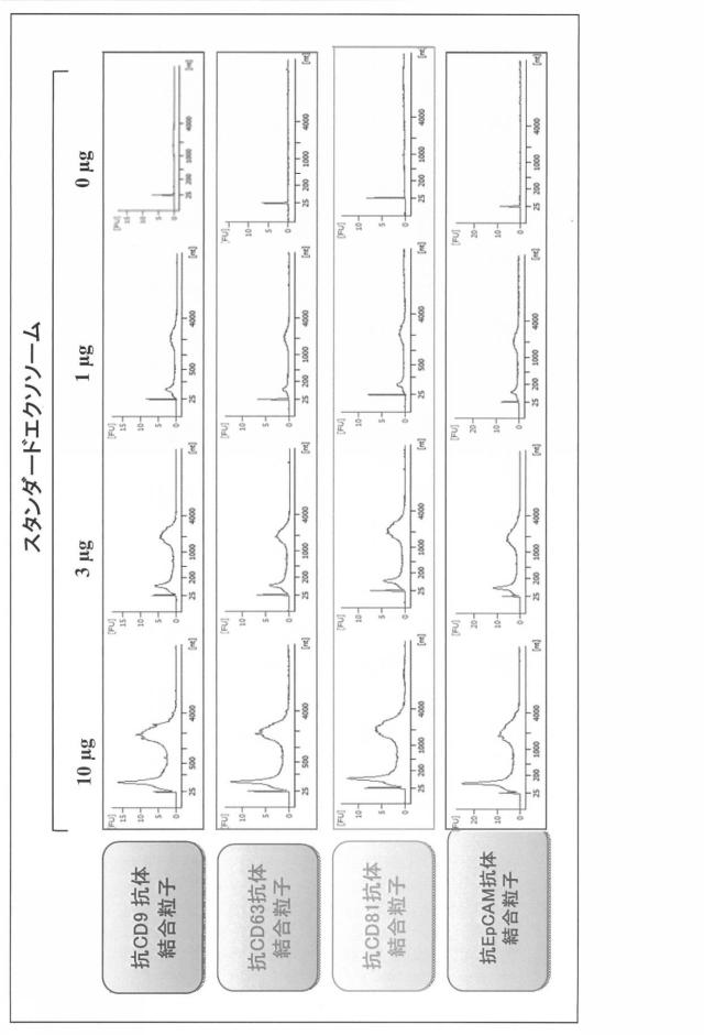 6255035-分離方法、検出方法、シグナル測定方法、疾患の判定方法、疾患治療薬の薬効評価方法、キット及び液状組成物 図000014