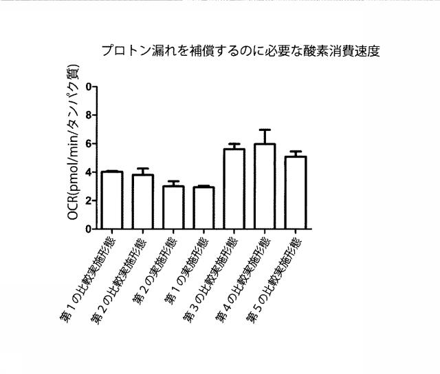 6329234-ミトコンドリアを改善する方法および幹細胞の細胞分裂を促進する方法 図000014