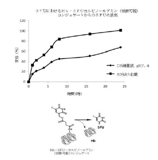 6392855-がん治療および診断イメージングのための修飾ヘモグロビンベース系治療剤を含む医薬組成物 図000014