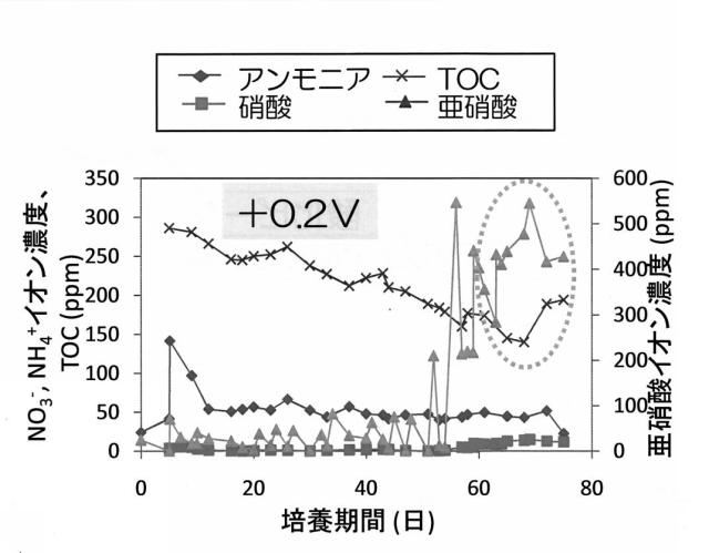 6396269-窒素代謝微生物の活性化方法 図000014