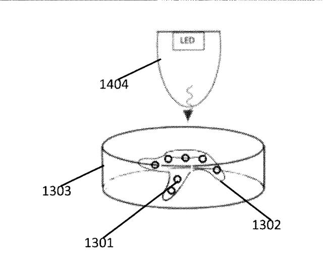 6430453-光合成生物の成長を促進するための量子ドットＬＥＤ 図000014