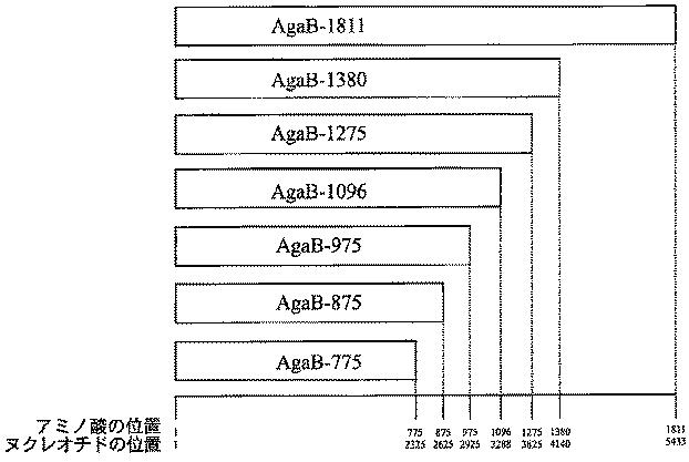 6472473-アガラーゼ、それを含む組成物、及びその利用 図000014