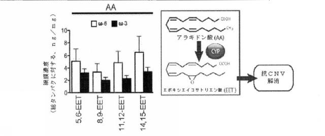 6526570-炎症及び血管形成を減少させるＣＹＰ４５０脂質メタボライト 図000014