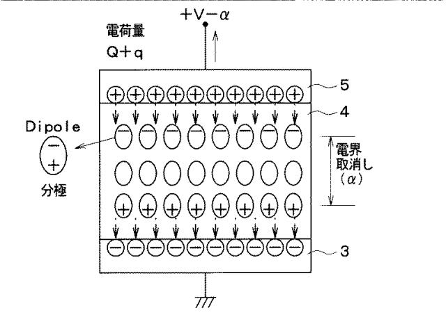 6583014-半導体装置の製造方法 図000014